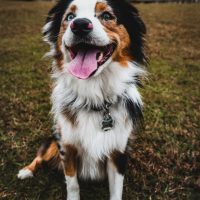 daniel-lincoln-XJkgF4R9t6U-unsplash