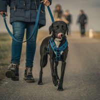 dominik-kempf-NuQnmaax29c-unsplash