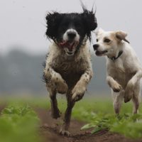 rafaella-waasdorp-rer_8m_fqXs-unsplash